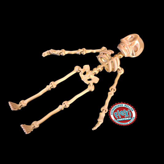 3d print, Skeleton, skeleton 3d print, flexible skeleton,  3d Human,  Halloween skeleton, glow in the dark skeleton, Halloween party decor