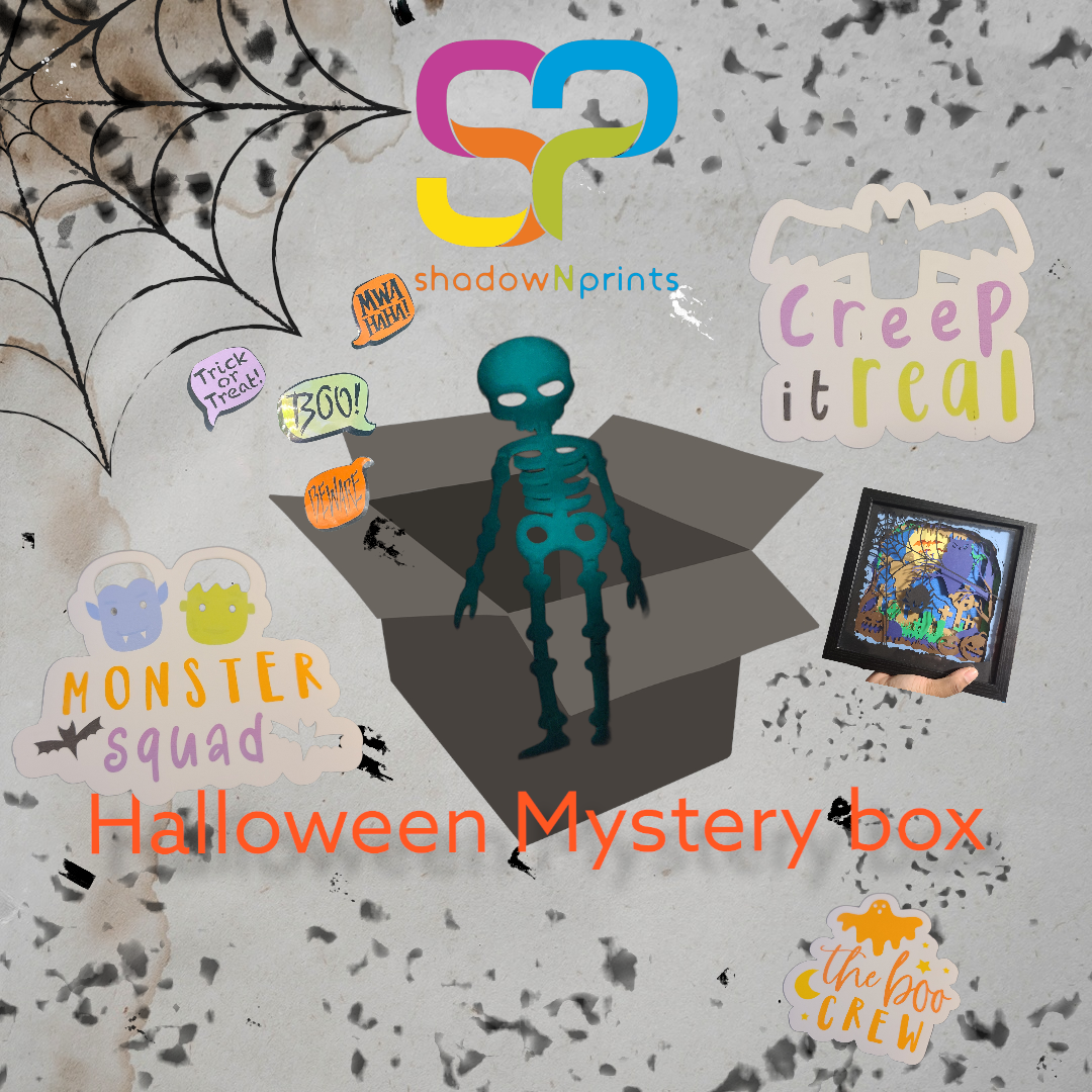 Halloween Mystery Box, Grab Bag, Spooky, Skeleton, shadowNprints Mystery Box, Scary Surprise Box, Surprise box, 3d Mystery Box, value box