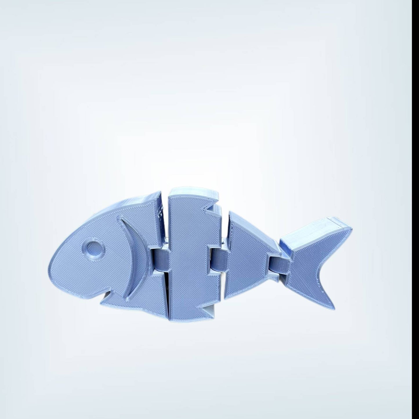 Chunky 3D Fish