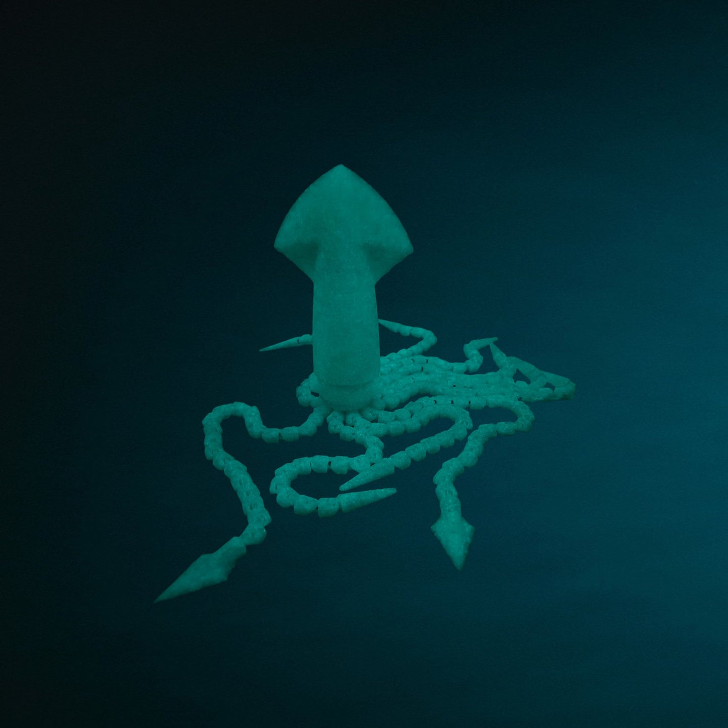 3D Printed Articulated Squid