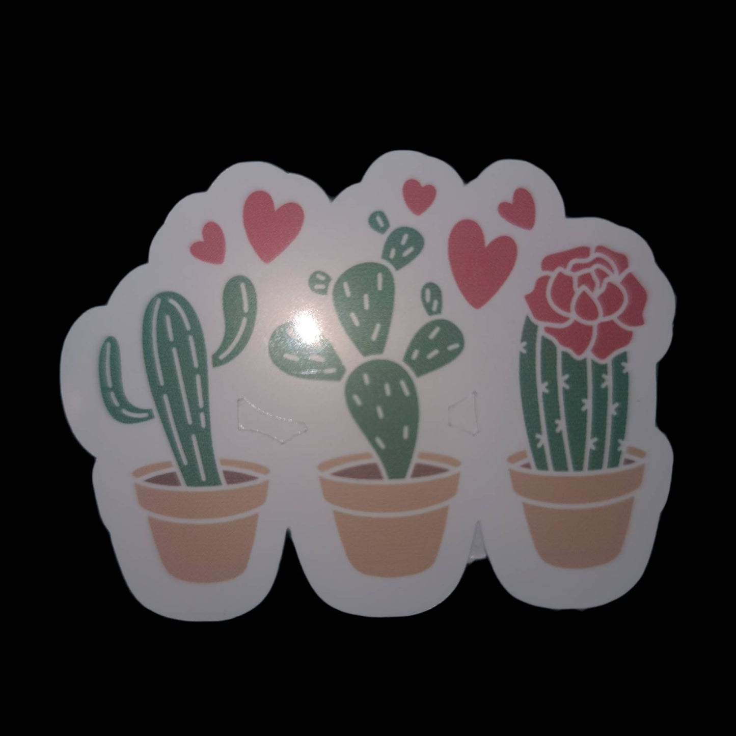 Large desert themed sticker set. Cactus/ Cacti sticker pack. Water bottle and laptop decals. Plant lovers stickers. Notebook and planners.
